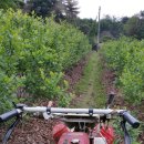 태광고철 이미지