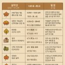 남원산림조합 | “가을 단풍 여행지 7선 + 교통·숙소 꿀팁”