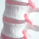 에스정형외과의원 이미지