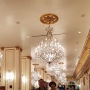 2019-주116 이미지