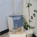 강남스테이 이미지