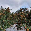 하나로농장-2 이미지