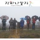 다을새길 이미지