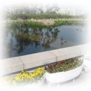 솔빛공원 이미지