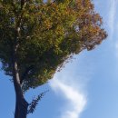 기계초 병설유치원 이미지