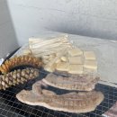 힐링칠링 이미지