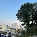 황령산보쌈 | 남천동 맛집 청산1954 편백낙지보쌈 후기