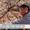 강원도건강원 - 용인시 처인구 능원로 53 | 강원도건강원