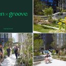 그린그루브(Green Groove)