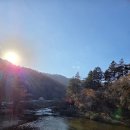 월정사 탑돌이 | 강릉관광택시 강릉개인택시 강릉짱구택시 강릉택시여행 오대산 월정사여행