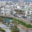 장군천 이미지