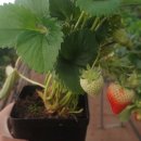 달을보는농부 이미지