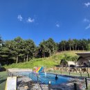 노블글램핑 | 포천 노블글램핑 솔직후기 🏕️ 친구들과 먹고 놀고 힐링하고 왔어요!