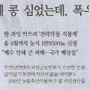 직매 이미지