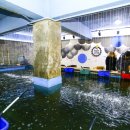 착한붕어 낚시카페 이미지