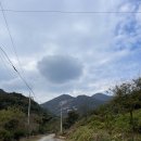 [공지] [전남] 곡성 직접 키운 꽃과 허브가 있는 고즈넉한 서계리 숲 카페