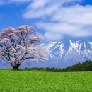 성의 농장 | 이와테현 여행 코스 : 주손지 &amp; 게이비케이, 현지인 강추 추천 명소 TOP 5