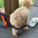 범바위 독채 황토집 이미지