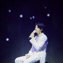 탄 이미지