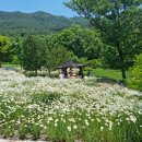 구례소나무정원 이미지