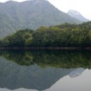 사과꽃향기 이미지