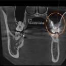 뿌리연합치과의원 이미지
