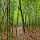 [도로]일월공원 주차장1 이미지