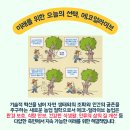 한종래농장 네이버블로그