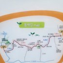 군모들농장 | 한라산둘레길코스 총정리 한라산둘레길4구간 동백길 걷기 제주한달살기 26일차