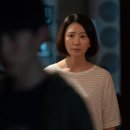 성베드로 한방병원 앞 횡단보도 | 영화 보통의 가족 후기 원작 마지막 결말에 대한 해석 추천 이유 (스포 O)