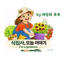 26년 5월 4일 월요일 간추린 아침뉴스/해당화축복 힐링 정원