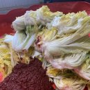 멍구야 놀자 이미지