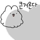김치의 정석