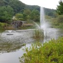 자연생태공원 잔디광장 옆 이미지