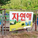 자연애농장 | 전남 나주 숲속의 캠핑장 나주자연애 2박3일캠핑