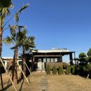 Maroon stay 이미지