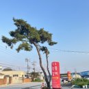 청솔무한리필 이미지