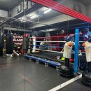 스타복싱 체육관 이미지