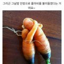 홍당무 이미지