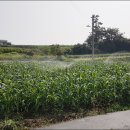 와룡경로당 이미지