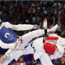 금빛태권도 이미지