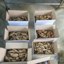 푸르른 농장 이미지