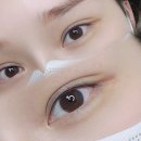 비올라(violla) 이미지