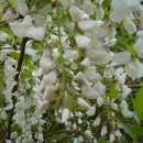 홍천휴게소 이미지