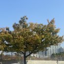 부산교육대학교부설초등학교 이미지