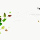 르노삼성자동차 파주대리점 이미지