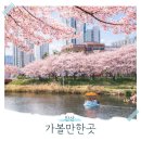 호수공원 육교앞 3주차장쪽 | 안산 근처 가볼만한곳 호수공원 피크닉 주차장