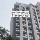 도미니클라바속초협동조합