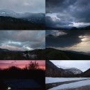 주식회사 아이비알라이프 | 다큐멘터리 밥 로스 행복한 사고, 배신과 탐욕 후기