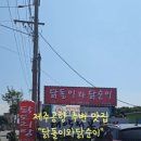 닭돌이와닭순이 이미지